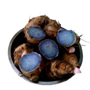 kidney beans organic